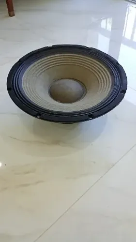 Alto Falante Staner SR315A 300w RMS