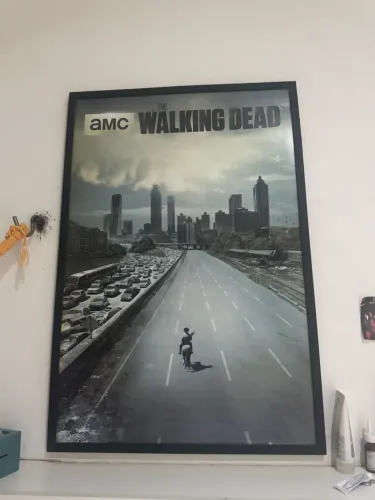 quadro the walking dead