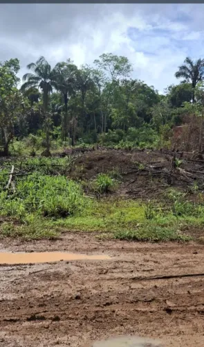 Documento de compra e venda passado no cartório 