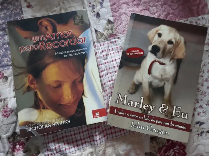 Livros Um Amor para recordar e Marley e Eu