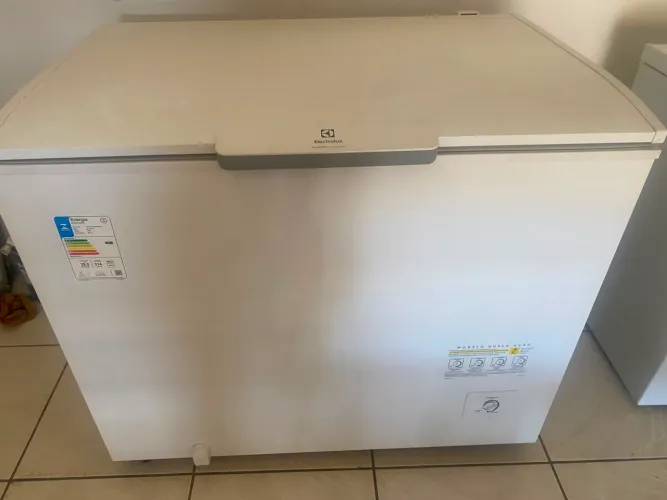 Frezzer electrolux 314L inveter