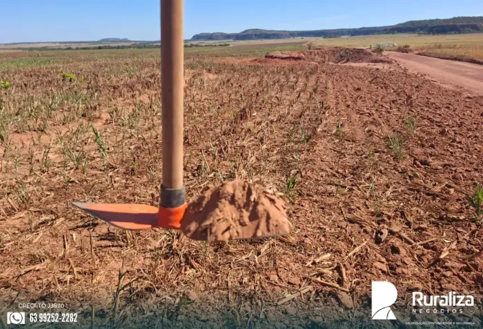 FAZENDA 919 ALQUEIRES | 850 HA EM SOJA | 1.700 HA AGRICULTÁVEIS