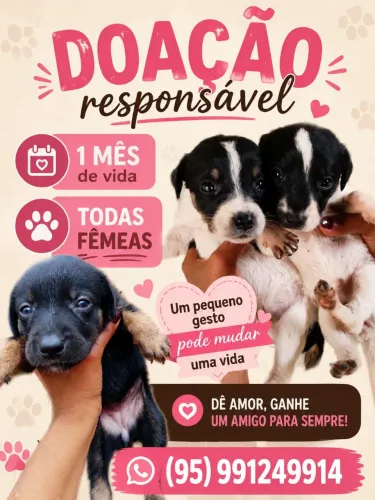 Doação