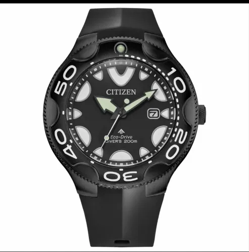 Citizen orca