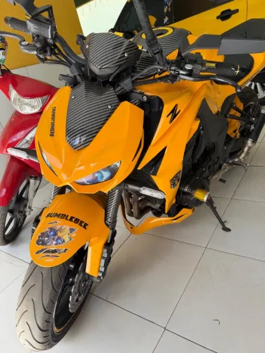 Kawasaki z100
