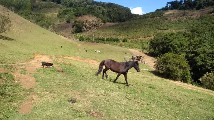 Pequena fazenda a venda em Aracê Domingos Martins-ES