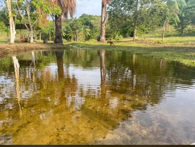 Vaga de Caseiro em Sítio com moradia em Manacapuru/AM