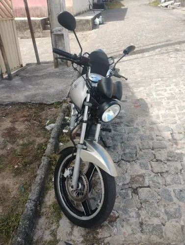 Fan 2011