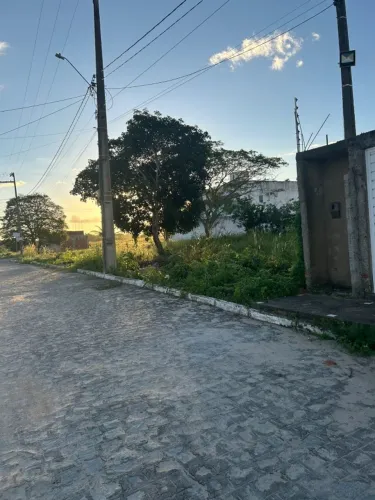 Repasse de Lote no Luar de Caruaru medindo 8x20