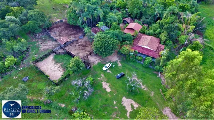 Fazenda de Pecuária Premium à Venda 73 Alqueires Palmeirópolis/TO