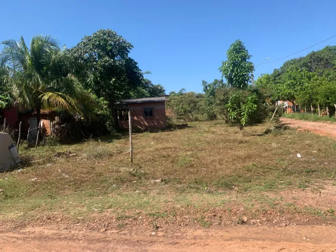 Serviço de Roçagem de Terrenos e Quintais - Roçadeira