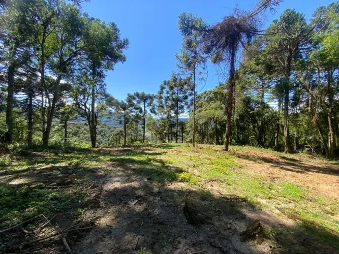 Chácara de 2 hectares à venda em Urubici-SC, Serra do Panelão