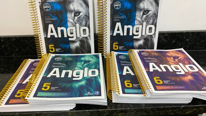 Kit Livros Sistema Anglo 2° ano ensino médio
