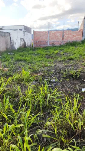 Vendo lote 