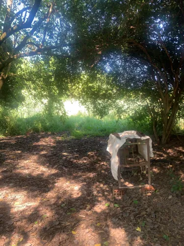 Vendo esta chácara proposta disponível