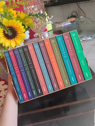 Box livros Desventuras Em Série