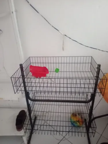 Para lojas