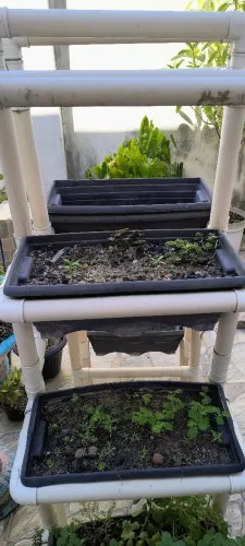 Rack para planta e hortaliças 