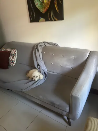 SOFÁ 4 lugares Ótima oportunidade