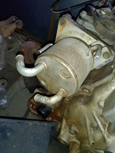 Resfriador de Óleo do câmbio Renault fluence