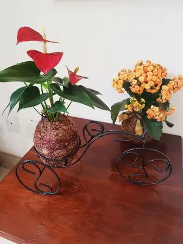 Porta vaso de plantas bicicleta de mesa 