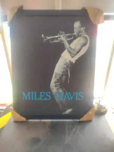 Quadro Miler davis