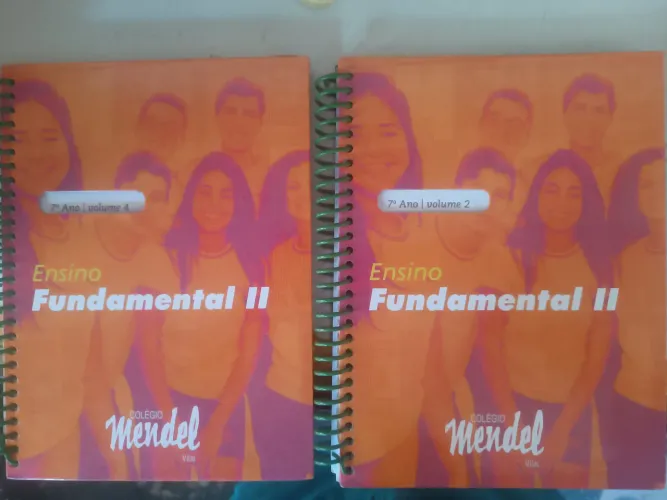Cadernos Ensino Fundamental II - 7º Ano - Colégio Mendel volume 2, 3