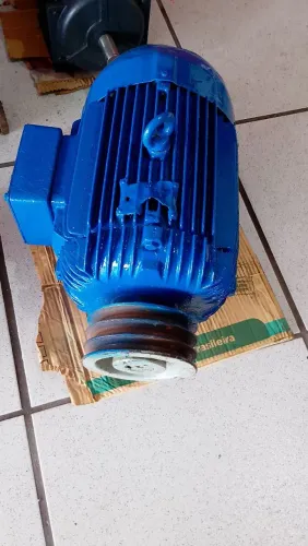 Motores Elétrico 