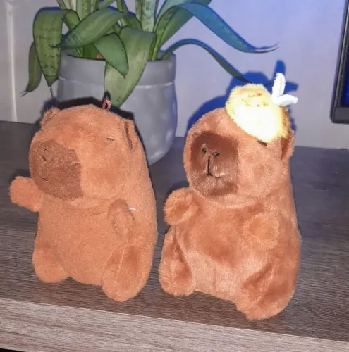 Capivaras de pelúcia