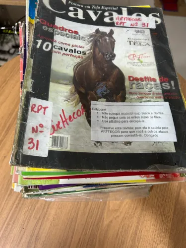Lote com mais de 60 Revistas de Pintura em Tela e Arte - Passo a Passo e Técnicas Variadas