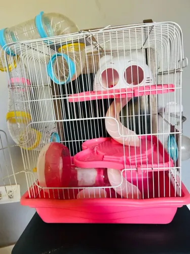 Gaiola Safari gigante para hamster