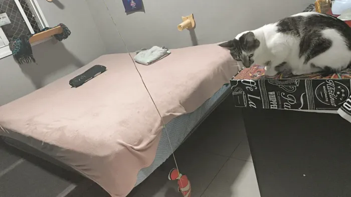 Cama Queen com bau