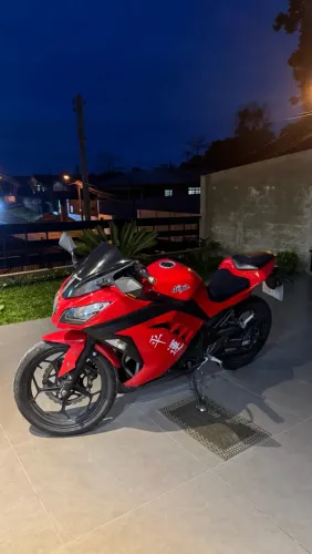 NINJA 300 2015