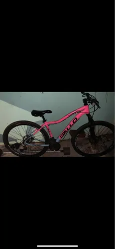 Bicicleta aro29