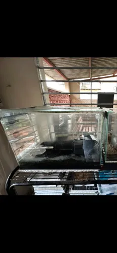 Aquário 50 x 30 x 25
