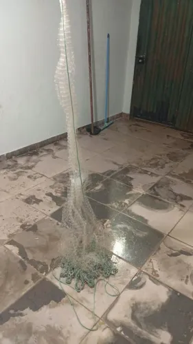 Vendo tarafa