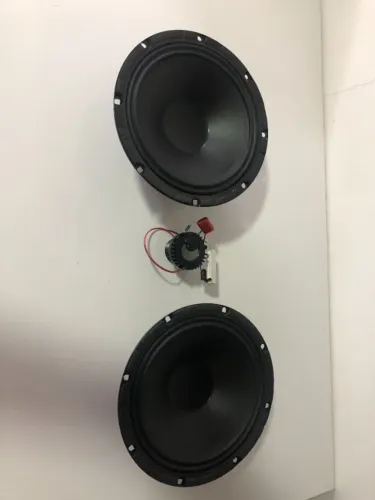 Par de auto falantes 4 ohms com o twiter para caixa amplificada PULSE SP-359