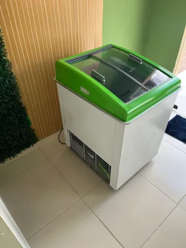 Freezer expositor 220