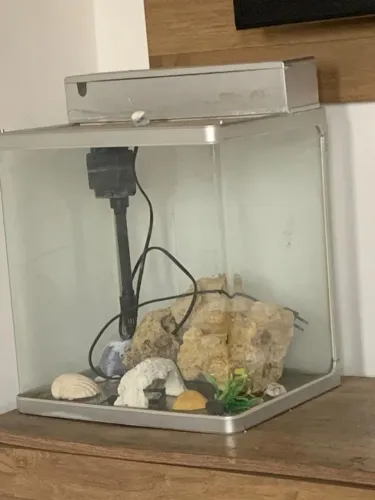 Vendo aquário de 50 Litros em perfeito estado