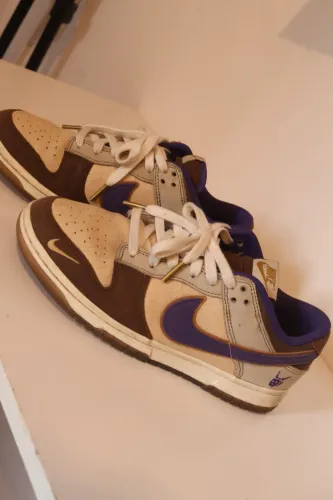 Tênis Nike Dunk Low (Ed. especial)