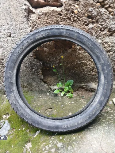 Peneu bom pra rodar