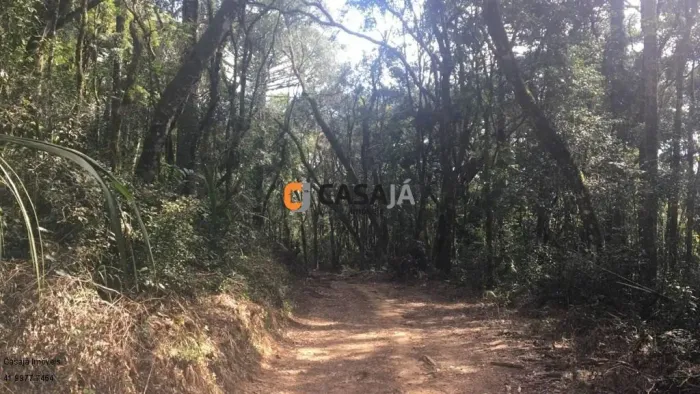 CHACARA RURAL em CONTENDA - PR, Herval do Papuã