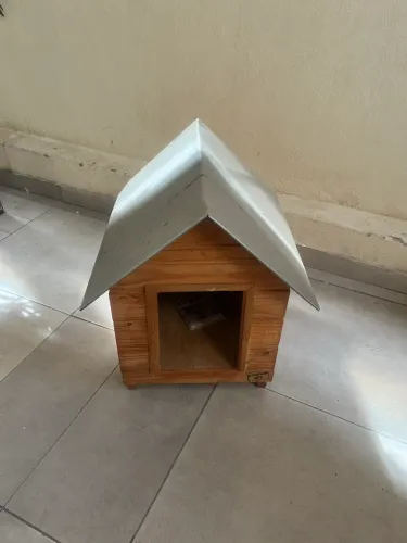 Casinha de madeira cachorro