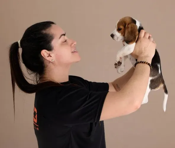 BEAGLE FOFO