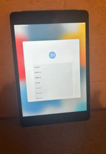 iPad mini 4 - Wifi + Celular - 64 GB