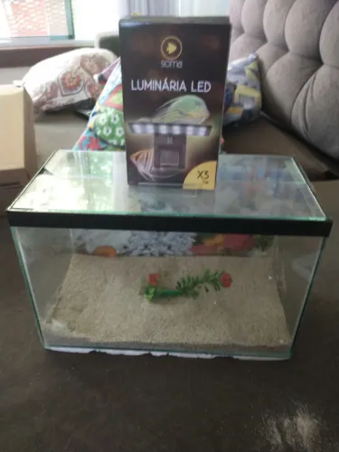 Aquário com luminária Led