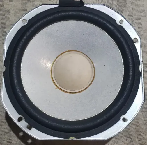 Alto falante 8" Original Sony Shake 77.