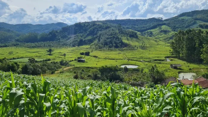 Sitio em Águas Mornas - SC