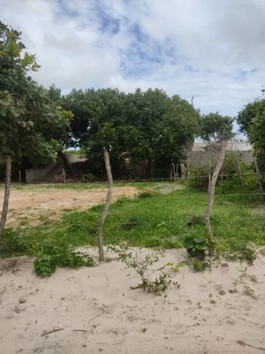 Vendo Terreno à 1 Quarteirão que Nacional de Jericoacoara
