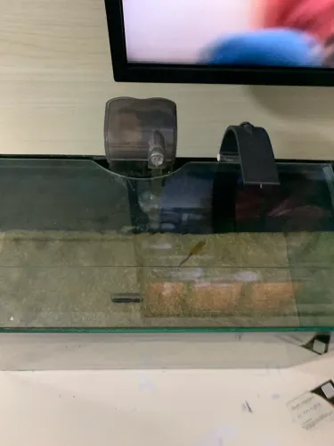Aquário 26 litros